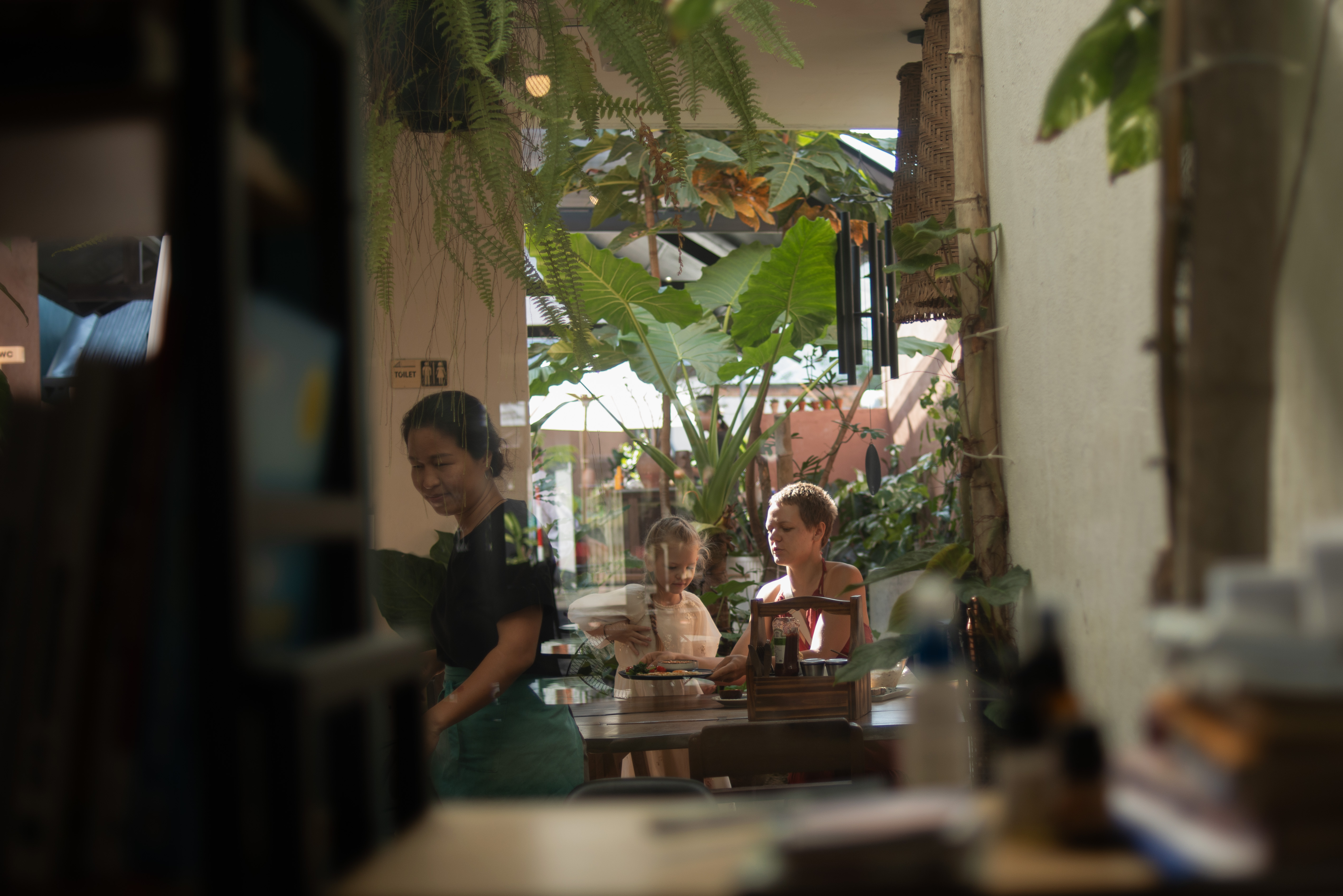Tropical Cafe Interior - Cozy tropical dining space with plants